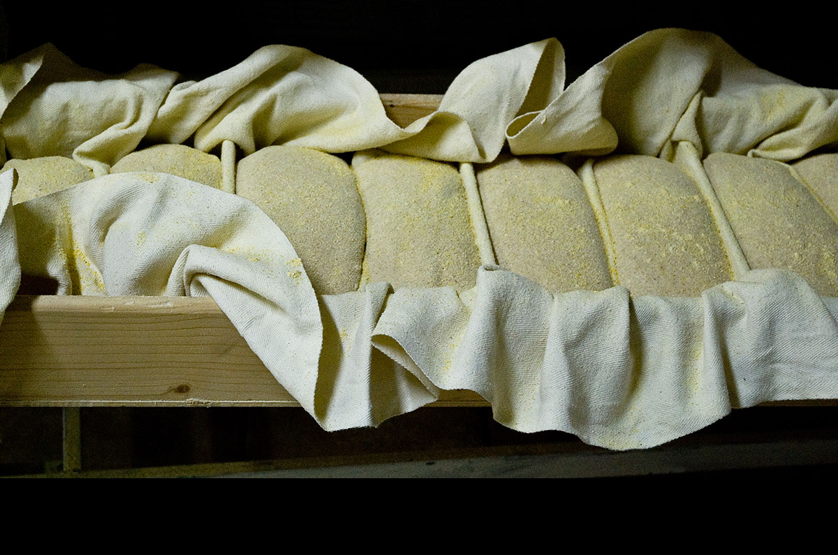 Carla Cacianti, Pane da cuocere